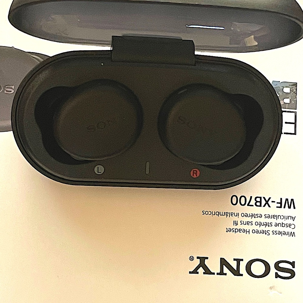 Sony Wireless Headphones WF-XB700